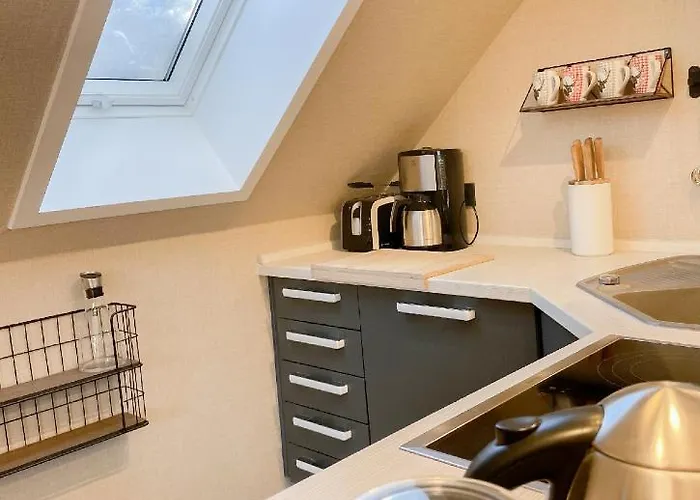 公寓 Luxus Schoene Aussicht 戈斯拉尔