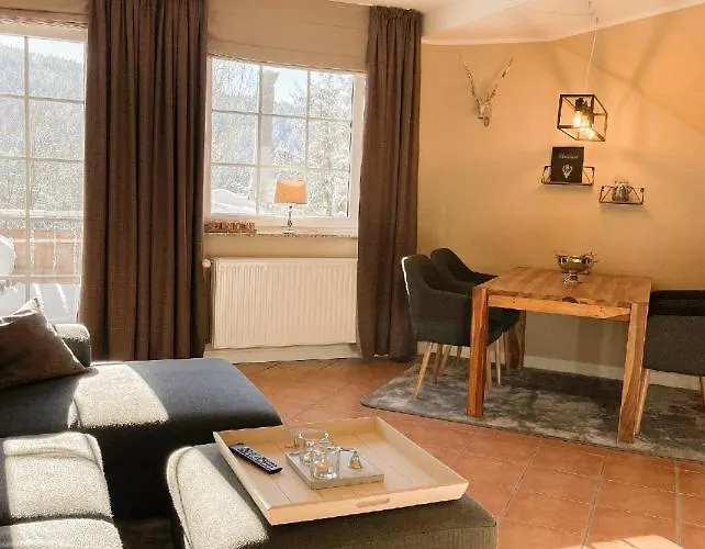 Luxus Schoene Aussicht 公寓 戈斯拉尔